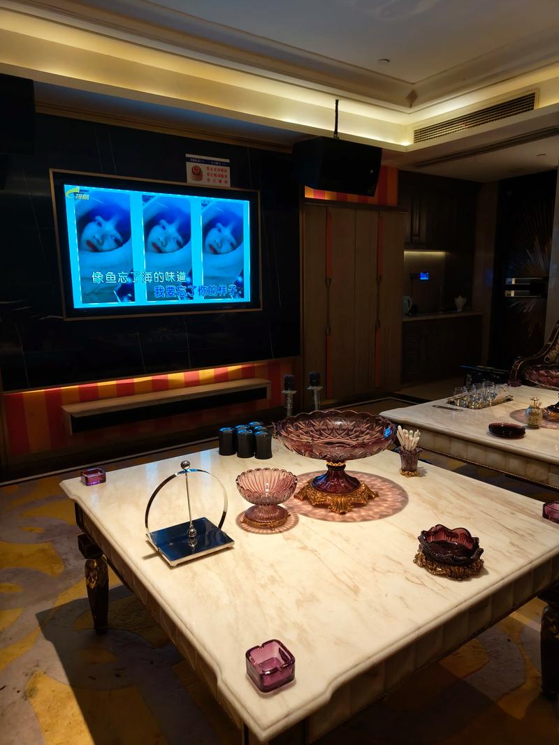 丽水商务ktv计时方式-松阳县ktv预订